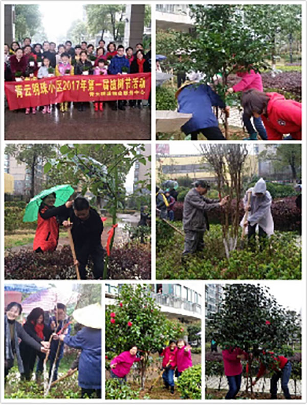 播一片綠林，種一份愛心